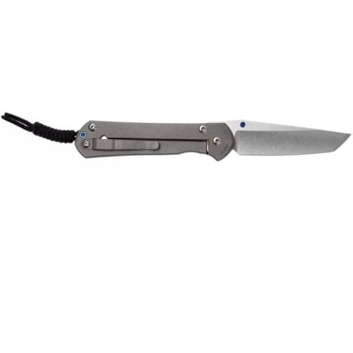 Складной нож Chris Reeve Large Sebenza 21 Tanto фото 5